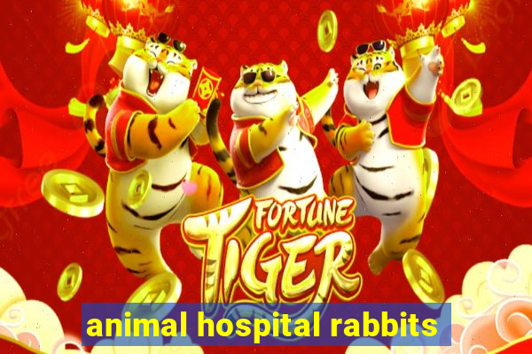 animal hospital rabbits