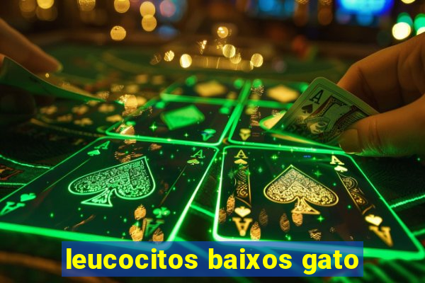 leucocitos baixos gato