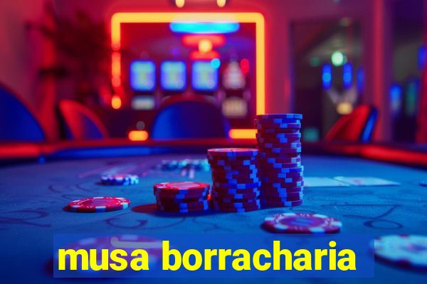 musa borracharia