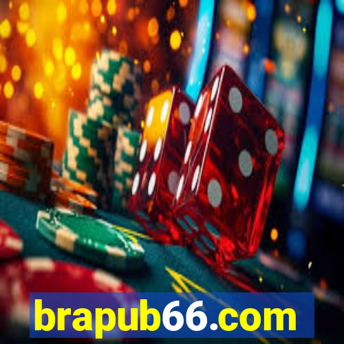 brapub66.com