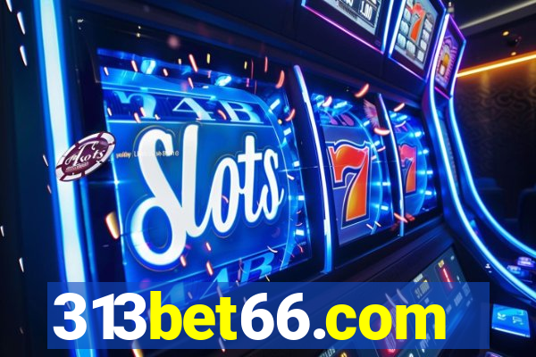 313bet66.com