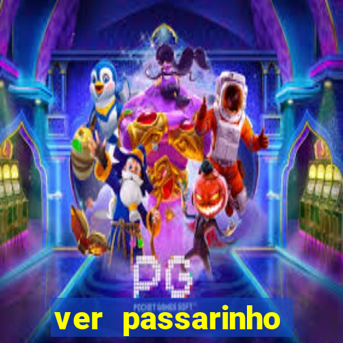 ver passarinho morto significado espiritual