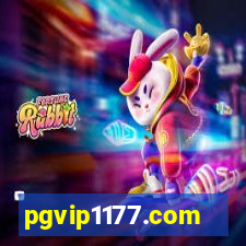 pgvip1177.com