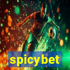 spicybet-4.com