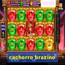 cachorro brazino